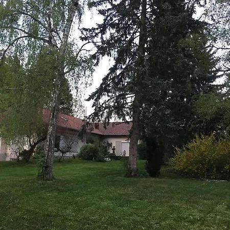 Schoene 2,5 In Stadtnaehe Mit Eigenem Hofgarten *