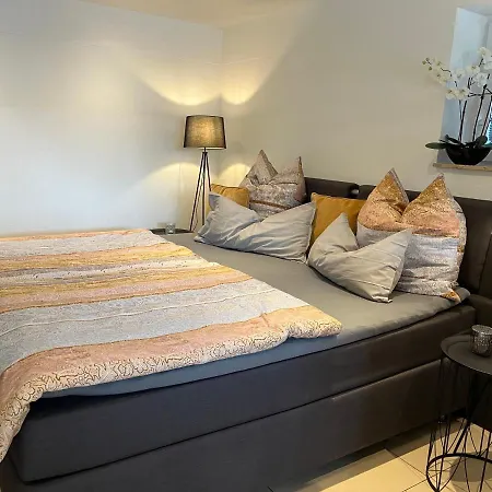 Schoene 2,5 In Stadtnaehe Mit Eigenem Hofgarten * Balingen